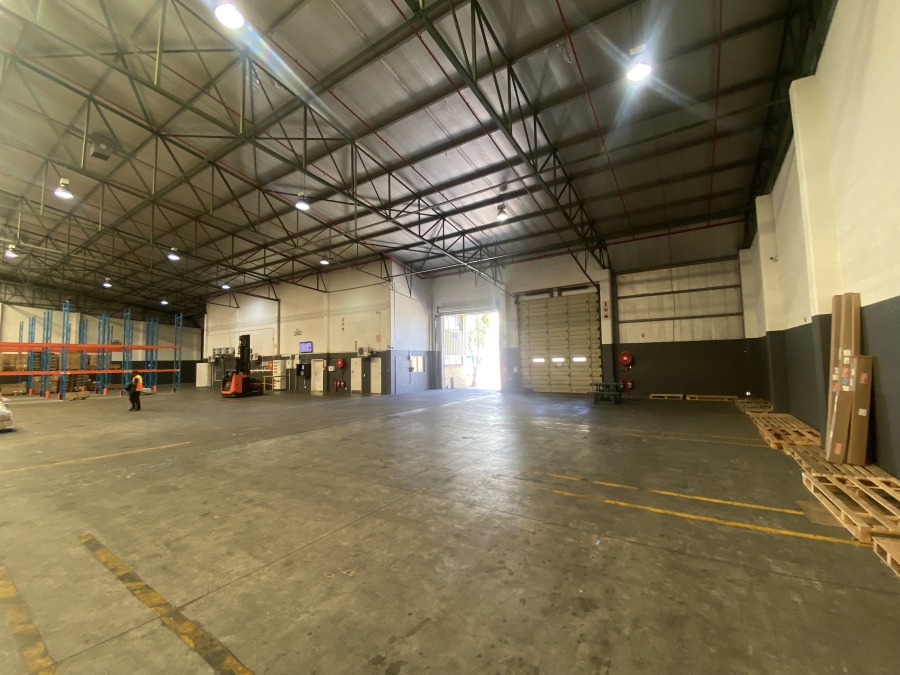 To Let commercial Property for Rent in Epping Industrial Western Cape